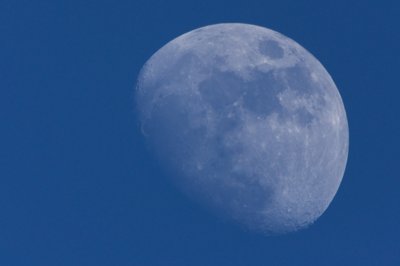 23 dans sa parrure du jour_4548751508_l.jpg